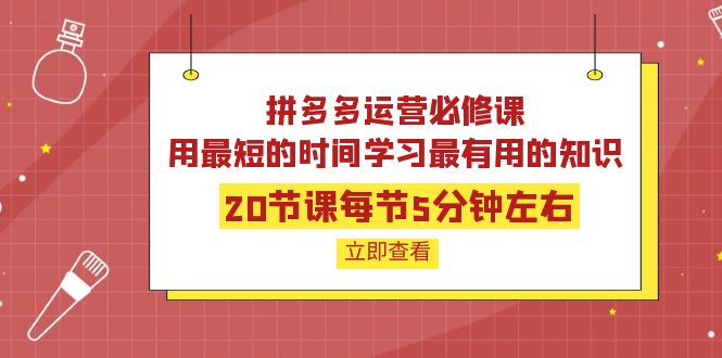 【副业项目4189期】拼多多运营必修课：20节课每节5分钟左右，用最短的时间学习最有用的知识-盈途副业网