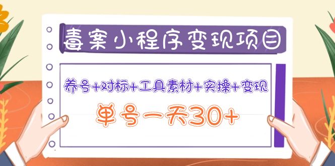 【副业项目4214期】图文案小程序变现项目：养号+对标+工具素材+实操+变现，单号一天30+-盈途副业网