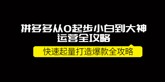 【副业项目4227期】拼多多从0起步小白到大神运营全攻略，快速起量打造10W+爆款全攻略-盈途副业网