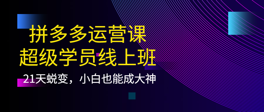 【副业项目4260期】拼多多运营课：超级学员线上班，21天蜕变，小白也能成大神-盈途副业网