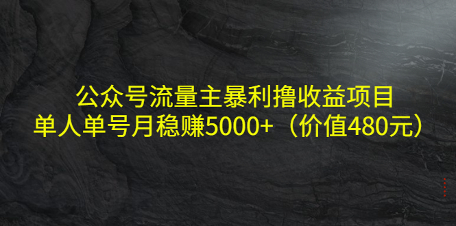 【副业项目4325期】公众号流量主暴利撸收益项目，单人单号月稳赚5000+（价值480元-盈途副业网