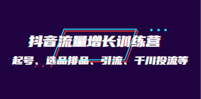 【副业项目4335期】月销1.6亿实操团队·抖音流量增长训练营：起号、选品排品、引流 千川投流等-盈途副业网