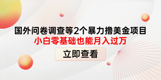 【副业项目4372期】国外问卷调查等2个暴力撸美金项目，小白零基础也能月入过万-盈途副业网