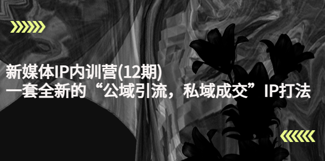 【副业项目4405期】新媒体IP内训营(12期)：一套全新的“公域引流，私域成交”IP打法，直接带走-盈途副业网