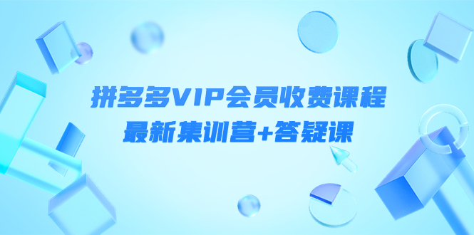 【副业项目4426期】某社群·拼多多VIP会员收费课程，最新集训营+答疑课-价值3299元-盈途副业网