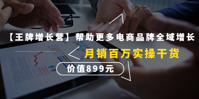 【副业项目4547期】【王牌增长营】帮助更多电商品牌全域增长，月销百万实操干货，价值899元-盈途副业网