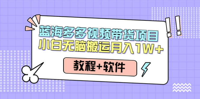 【副业项目4612期】人人都能操作的蓝海多多视频带货项目 小白无脑搬运月入10000+（教程+软件）-盈途副业网