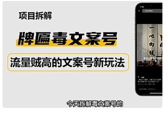 【副业项目4912期】2023抖音快手毒文案新玩法，牌匾文案号，起号快易变现-盈途副业网
