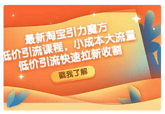 【副业项目4943期】最新淘宝引力魔方低价引流实操：小成本大流量，低价引流快速拉新收割-盈途副业网