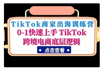 【副业项目5013期】TikTok商家出海训练营：0-1快速上手 TikTok跨境电商底层逻辑-盈途副业网