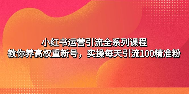 【副业项目5144期】小红书运营引流全系列课程：教你养高权重新号，实操每天引流100精准粉-盈途副业网