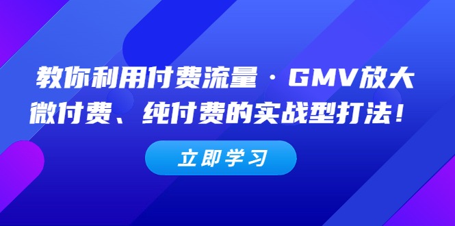 【副业项目5265期】教你利用付费流量·GMV放大，微付费、纯付费的实战型打法-盈途副业网
