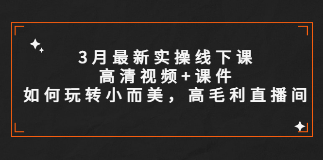 【副业项目5675期】3月最新实操线下课高清视频+课件，如何玩转小而美，高毛利直播间-盈途副业网