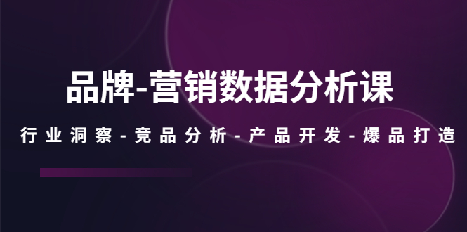【副业项目5644期】品牌-营销数据分析课，行业洞察-竞品分析-产品开发-爆品打造-盈途副业网