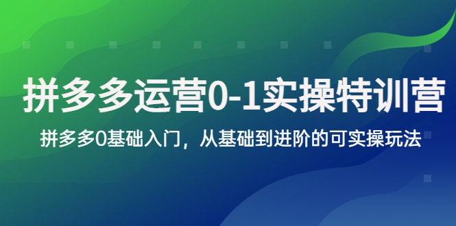 【副业项目5801期】拼多多-运营0-1实操训练营，拼多多0基础入门，从基础到进阶的可实操玩法-盈途副业网