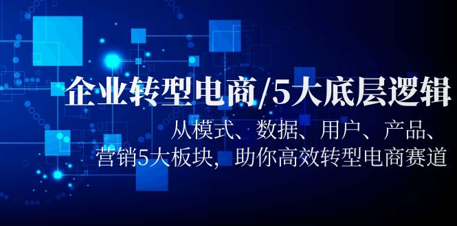 【副业项目5960期】企业转型电商/5大底层逻辑，从模式 数据 用户 产品 营销5大板块，高效转型-盈途副业网