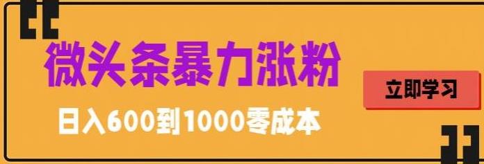 【副业项目5970期】微头条暴力涨粉技巧搬运文案就能涨几万粉丝，简单0成本，日赚600-盈途副业网