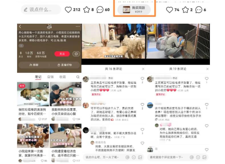 【副业项目5898期】小红书蓝海类赛道：小动物打赏与购买变现副业项目，一条龙玩法分享给你！-盈途副业网