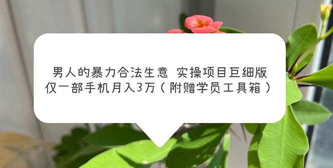 【副业项目5982期】男人的暴力合法生意实操项目巨细版：仅一部手机月入3w（附赠学员工具箱）-盈途副业网