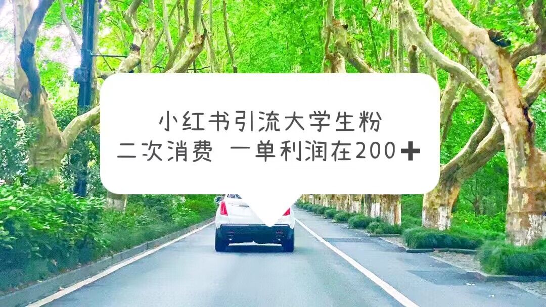 【副业项目5937期】小红书引流大学生粉，变现项目，一单利润在200+（教程+资源）-盈途副业网