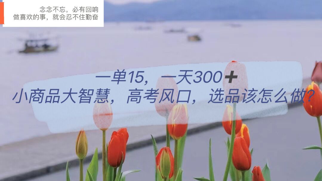 【副业项目6119期】一单15，一天300+，小商品大智慧，高考风口，选品该怎么布局-盈途副业网