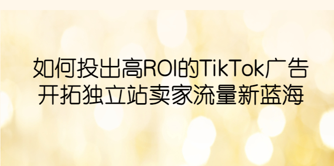 【副业项目6124期】如何投出高ROI·TikTok广告，开拓独立站卖家流量新蓝海-盈途副业网