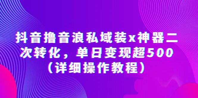 【副业项目6229期】抖音撸音浪私域装x神器二次转化，单日变现超500（详细操作教程）-盈途副业网