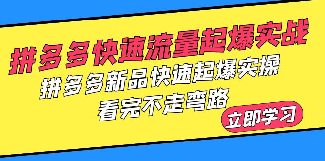 【副业项目6310期】拼多多-快速流量起爆实战，拼多多新品快速起爆实操，看完不走弯路-盈途副业网