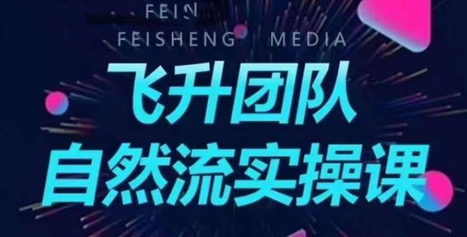 【副业项目6267期】飞升团队课程自然流实操课，抖音半无人起号主播间搭建教学-盈途副业网