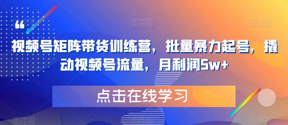 【副业项目6254期】视频号矩阵带货训练营，批量暴力起号，撬动视频号流量，月利润5w+-盈途副业网