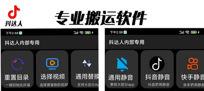 【副业项目6743期】对外收费699抖音傻瓜式一键搬运，起号专用5分钟一个视频《软件+详细教程》-盈途副业网