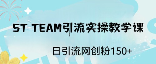 【副业项目6745期】ST TEAM引流实操课，日引流网创粉100+-盈途副业网