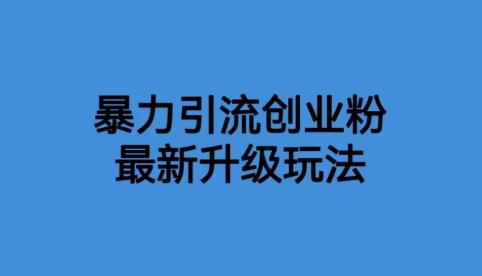 【副业项目6372期】价值1980一千个野路子暴力引流最新升级玩法【揭秘】-盈途副业网
