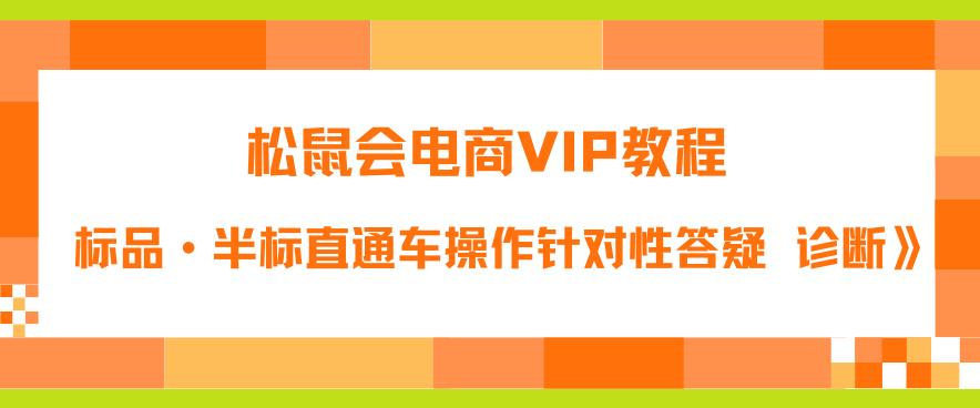 【副业项目6373期】松鼠会电商VIP教程：松鼠《付费推广标品·半标直通车操作针对性答疑&诊断》-盈途副业网