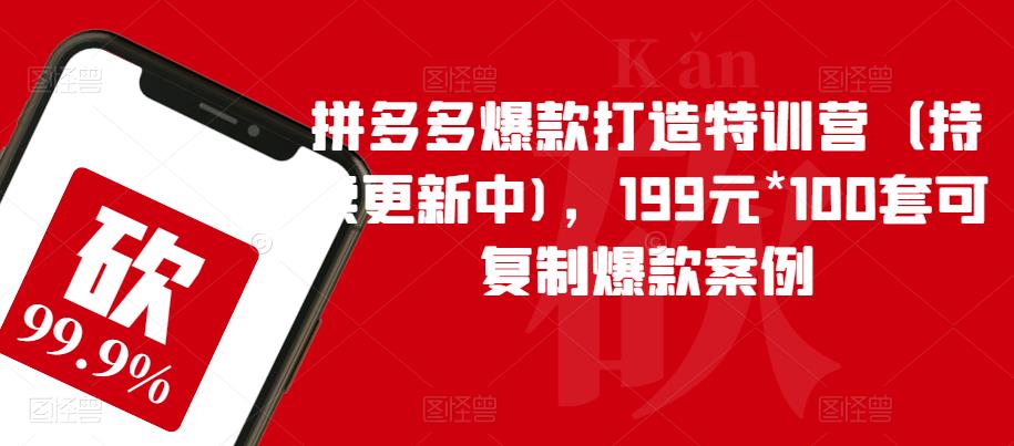 【副业项目6391期】拼多多爆款打造特训营（持续更新中)，199元*100套可复制爆款案例-盈途副业网