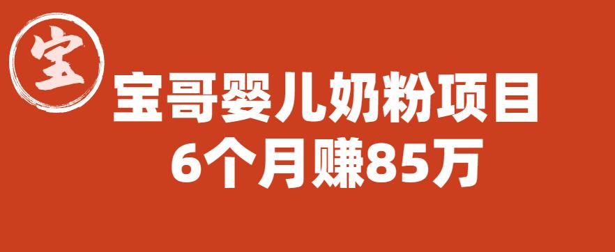 【副业项目6416期】宝哥婴儿奶粉项目，6个月赚85w【图文非视频】【揭秘】-盈途副业网