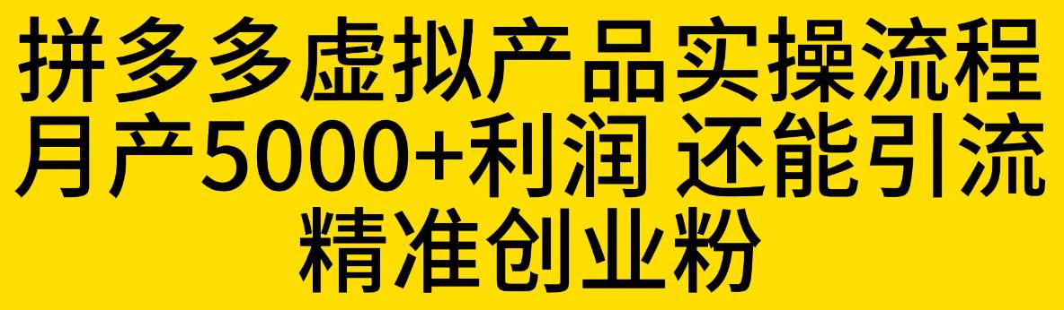 【副业项目6569期】拼多多虚拟产品实操流程，月产5000+利润，还能引流精准创业粉-盈途副业网