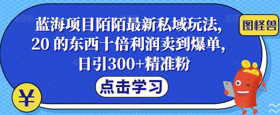 【副业项目6699期】蓝海项目陌陌最新私域玩法，20 的东西十倍利润卖到爆单，日引300+精准粉【揭秘】-盈途副业网