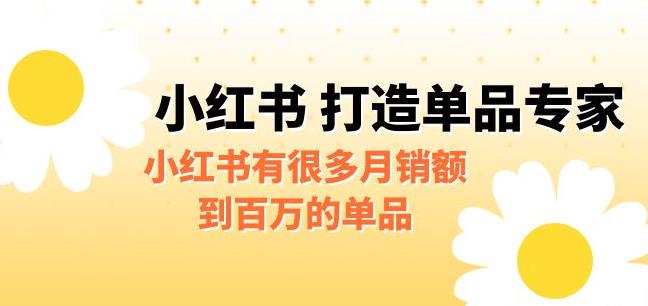 【副业项目6703期】某公众号付费文章《小红书打造单品专家》小红书有很多月销额到百万的单品-盈途副业网