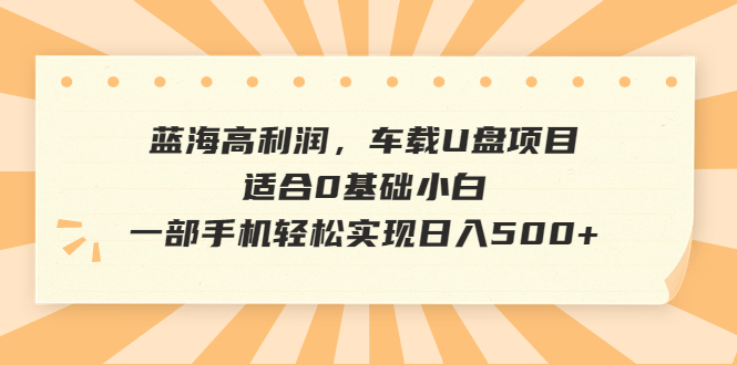【副业项目6800期】蓝海高利润，车载U盘项目，适合0基础小白，一部手机轻松实现日入500+-盈途副业网