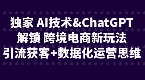【副业项目6780期】独家 AI技术&ChatGPT解锁 跨境电商新玩法，引流获客+数据化运营思维-盈途副业网