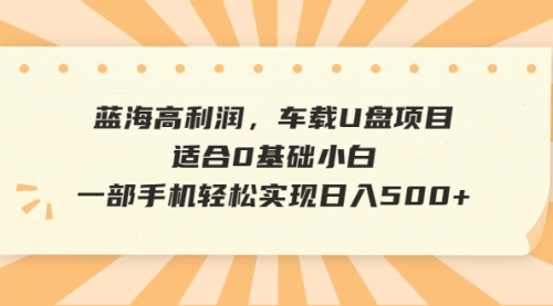 【副业项目6781期】蓝海高利润，车载U盘项目，适合0基础小白，一部手机轻松实现一天500+-盈途副业网