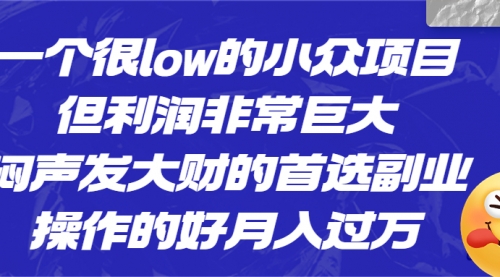 【副业项目6782期】一个很low的小众项目，但利润非常巨大，闷声发大财的首选副业，月入过万-盈途副业网