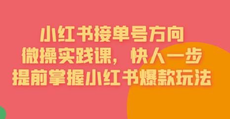 【副业项目6820期】接单号方向·小红书微操实践课，快人一步，提前掌握小红书爆款玩法-盈途副业网