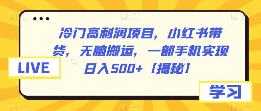 【副业项目6875期】冷门高利润项目，小红书带货，无脑搬运，一部手机实现日入500+【揭秘】-盈途副业网