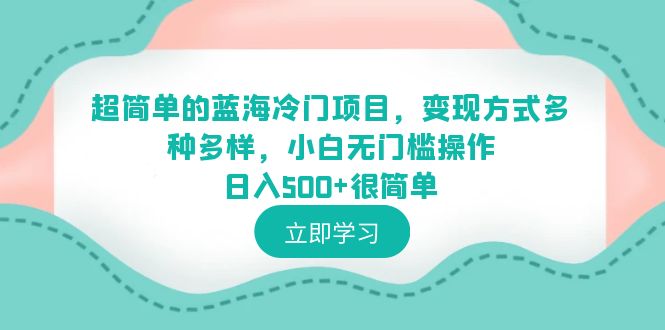 【副业项目6524期】超简单的蓝海冷门项目，变现方式多种多样，小白无门槛操作日入500+很简单-盈途副业网