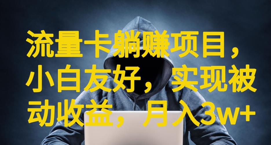 【副业项目6842期】流量卡躺赚项目，小白友好，开设后台，实现被动收益，只要出卡，就能一直赚钱，利润高昂【揭秘】-盈途副业网