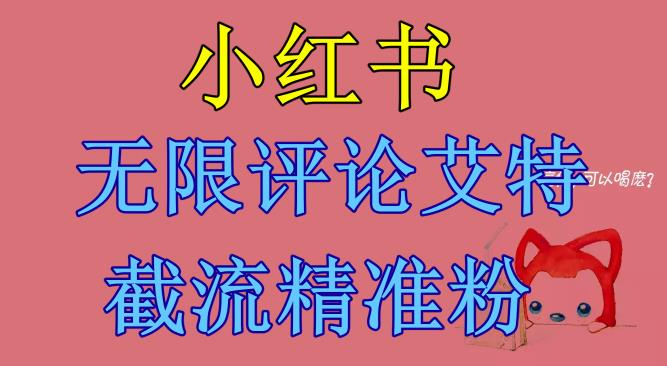 【副业项目6846期】小红书无限评论艾特截流精准粉（软件+教程）-盈途副业网