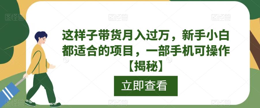 【副业项目6858期】这样子带货月入过万，新手小白都适合的项目，一部手机可操作【揭秘】-盈途副业网