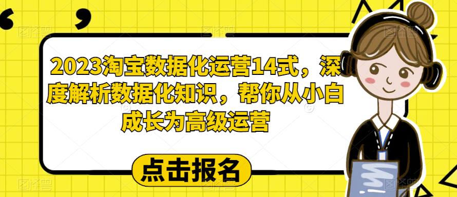 【副业项目6599期】2023淘宝数据化-运营 14式，深度解析数据化知识，帮你从小白成长为高级运营-盈途副业网